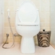why is my toilet leaking from the bottom