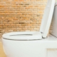 what to do when toilet overflows