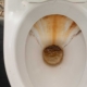 why-is-my-toilet-water-brown/