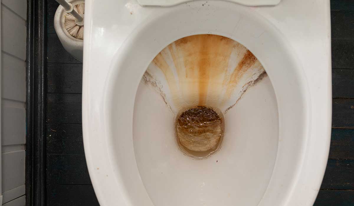 why-is-my-toilet-water-brown/