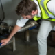 how long does a backflow test take